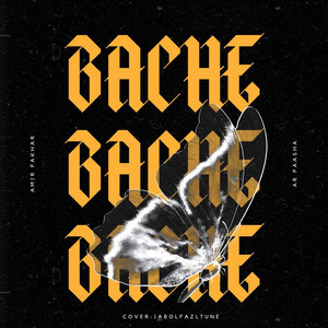 Bache