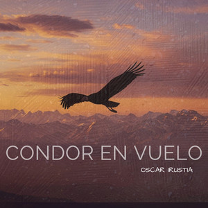 Oscar Irustia — Condor fliying (2026)