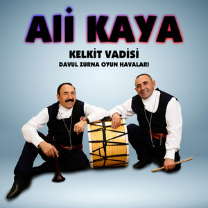 Dizden Kırma Alucra