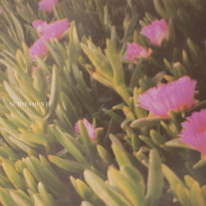 Súbitamente — Penélope Cúneo