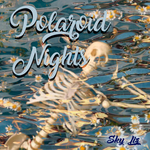 Polaroid Nights by Sky Liz