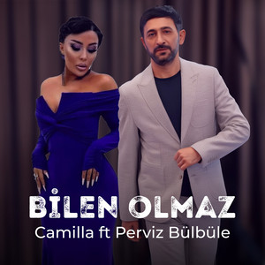 Bilen Olmaz (feat. Perviz Bülbüle)