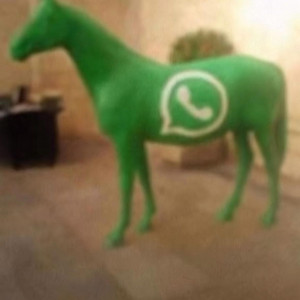 she call my phone (WhatsApp freestyle)