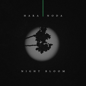 Night Bloom by Hara Noda