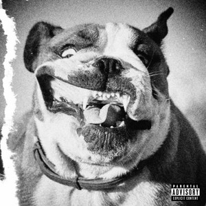 Portada de BULLY