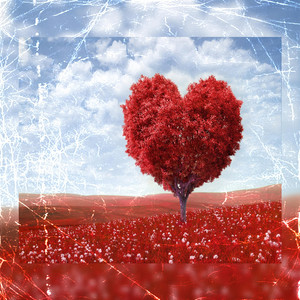 El Amor No Se Busca by Tesquinamusicc