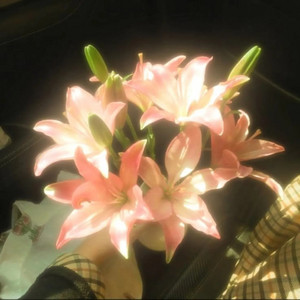 Metukan, heyiury & Malii - eve gitmem gerek her yerdeyim