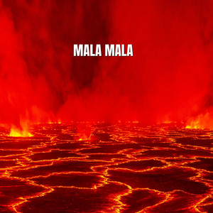 Mala Mala by Arena Salina