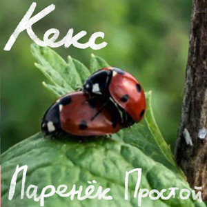 Кекс