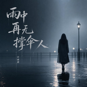 雨中再无撑伞人 by 许丽静