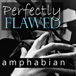 Perfectly Flawed album