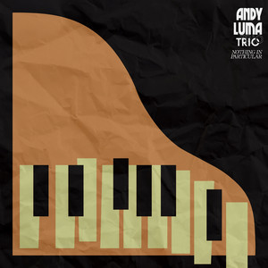 Nothing In Particular by Andy Luma Trio