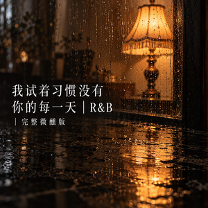 我试着习惯没有你的每一天｜R&B｜完整微醺版 by 顾安禾-Anhe