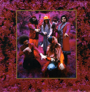Grow Fins - Rarities 1965-1982 cover
