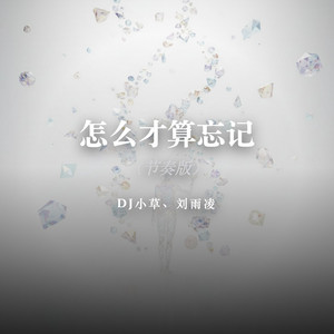 怎么才算忘记（节奏版） by DJ小草, 刘雨凌