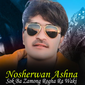 Nosherwan Ashna - Na De Dedan Ghwarama