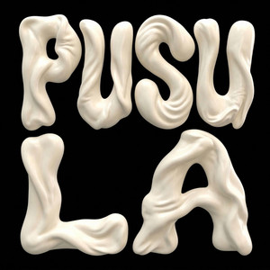Zoermod - PUSULA
