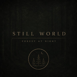 Wind Above the Canopy by Still World