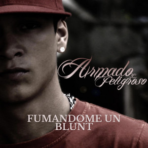 Fumandome un blunt by Ronko OG
