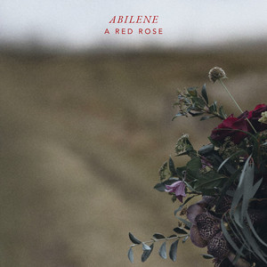 Braes by Abilene