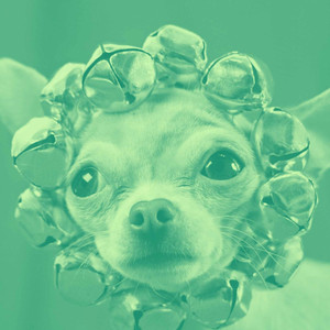 Trio Jazz - Ambiance for Sleepy Hound Zone album