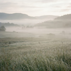 Fading Analog by Velara Mist