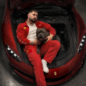 Vidos En Férrari by Saltapo