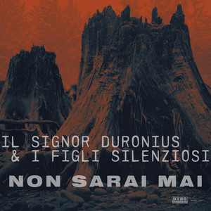 Non sarai mai by Il signor Duronius & I Figli Silenziosi