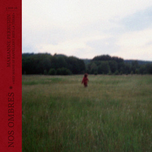 Nos ombres by Marianne Perrudin