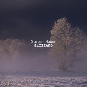 Blizzard by Dieter Huber