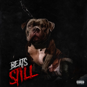 Portada de Still