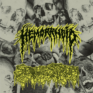 Diabetes Piss by Hemorrhoid