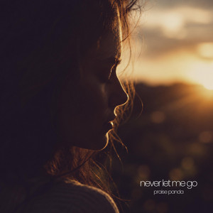 Never Let Me Go by Praise Panda