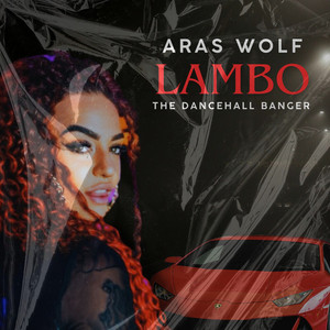 Lambo by Aras Wolf
