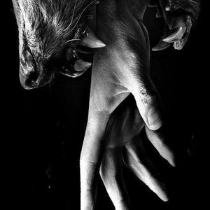 La reine de l'ombre by Jess.lilith