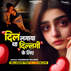 Dil Lagaya Tha Dillagi Ke Liye by Shabnam Majeed
