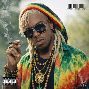 Thong Song (Reggae Flip) by Flip Version