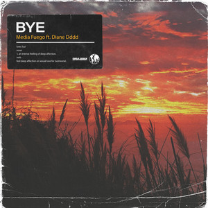 Bye by Miedjia, Diane Dddd