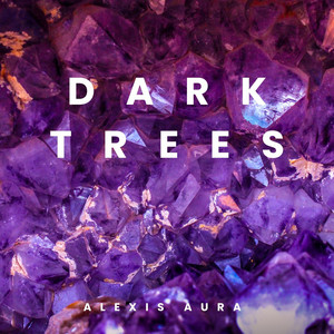 Dark Trees by Alexis Aura