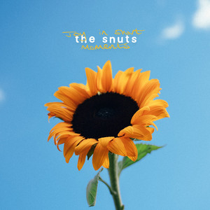 In Motion by The Snuts