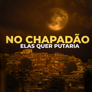DJ Gustavo Mix, DJ Denilson do Chapadão & DJ Theaga - No Chapadão Elas Quer Putaria Tik Tok Acelerada (feat. dj paulinho da faizao)