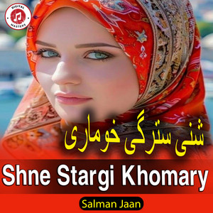 Salman Jaan - Shne Stargi Khomary