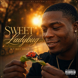 Sweet Ladybug by My Boy Arlo