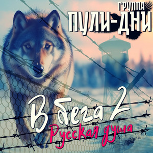 В бега 2 (Русская душа) by Группа Пули-Дни