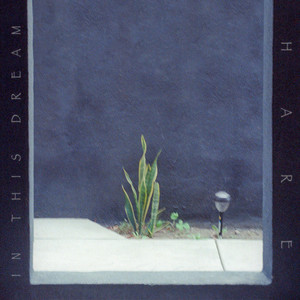 In This Dream by HARE