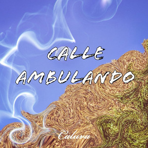 Calle Ambulando by CALUVA