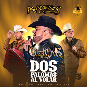 Dos Palomas Al Volar (En Vivo Desde Los Mochis)