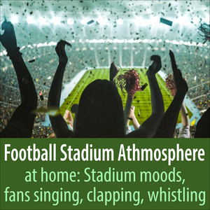 Todster - Fans Clapping and Singing in the Football Stadium