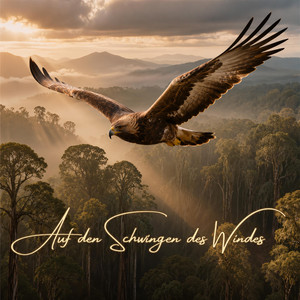 Auf den Schwingen des Windes - Wunderschöne Naturmusik zum Entspannen und Einschlafen by Seele des Waldes