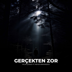 Gerçekten Zor by Hilmi Çönge, Mehdi Mammadov